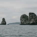 Najlepsza aplikacja do pomiaru ciśnienia krwi – którą wybrać?