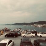 Aplikacja do płacenia za parking – wygodne rozwiązania na telefon